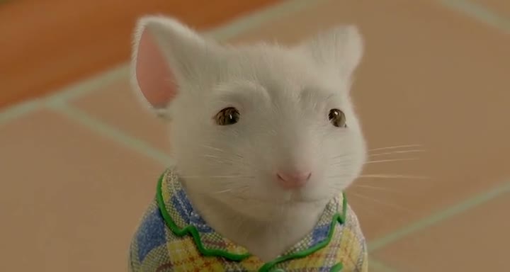 stuart little movies download in hindi